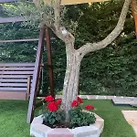 Casolare 67