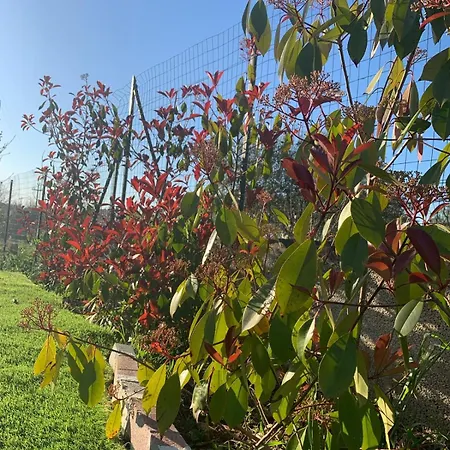 Casolare 67 بيت ضيافة 4*