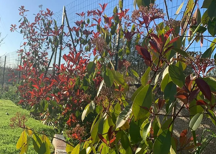 Casolare 67 بيت ضيافة 4*